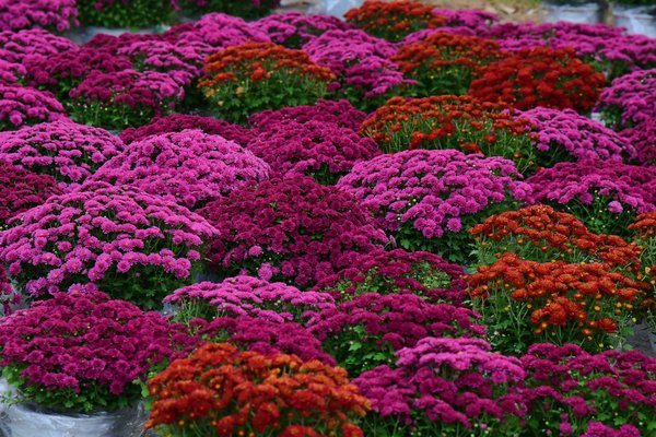 Les canapés pour collectivité : confort et diversité à découvrir